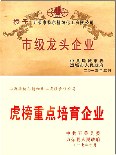 市級龍頭企業(yè)認(rèn)定證書